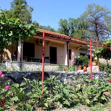 Holiday Home Gazevic Virpazar Bagian luar foto