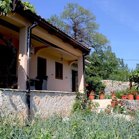 Holiday Home Gazevic Virpazar Bagian luar foto