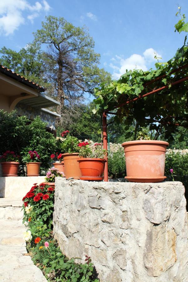 Holiday Home Gazevic Virpazar Bagian luar foto