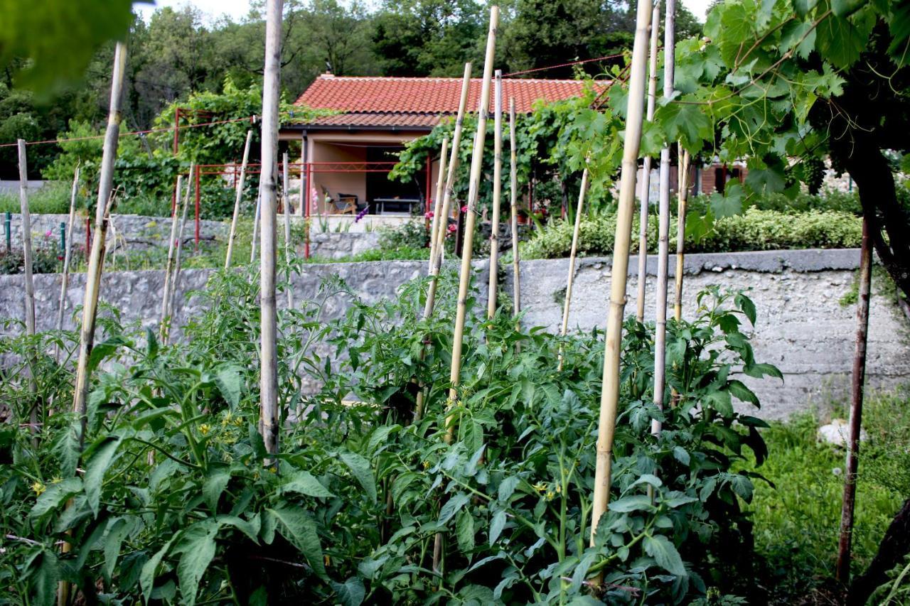 Holiday Home Gazevic Virpazar Bagian luar foto