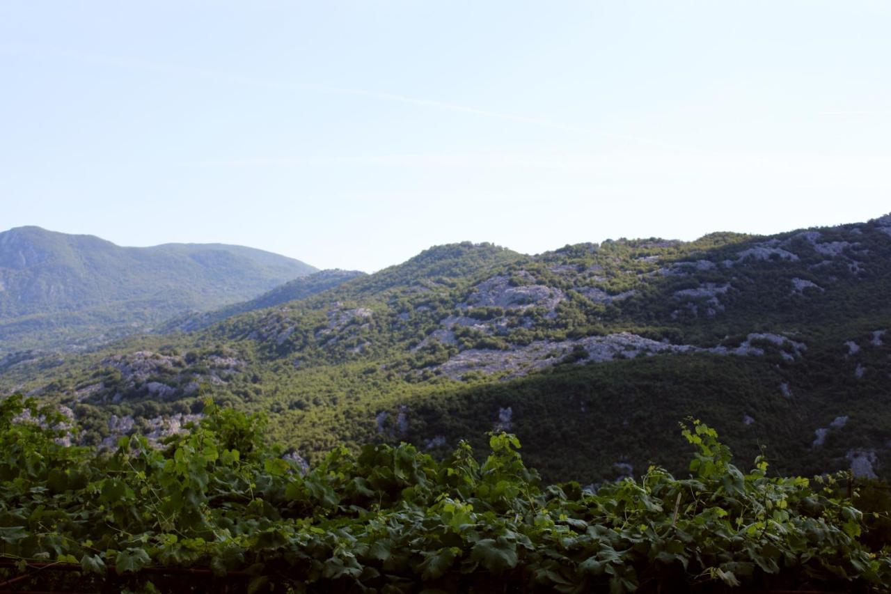 Holiday Home Gazevic Virpazar Bagian luar foto