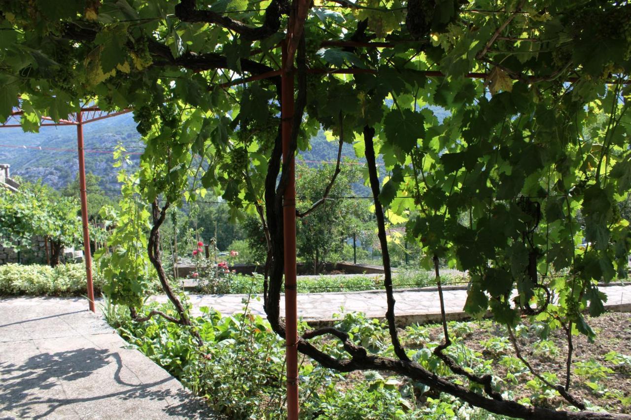Holiday Home Gazevic Virpazar Bagian luar foto