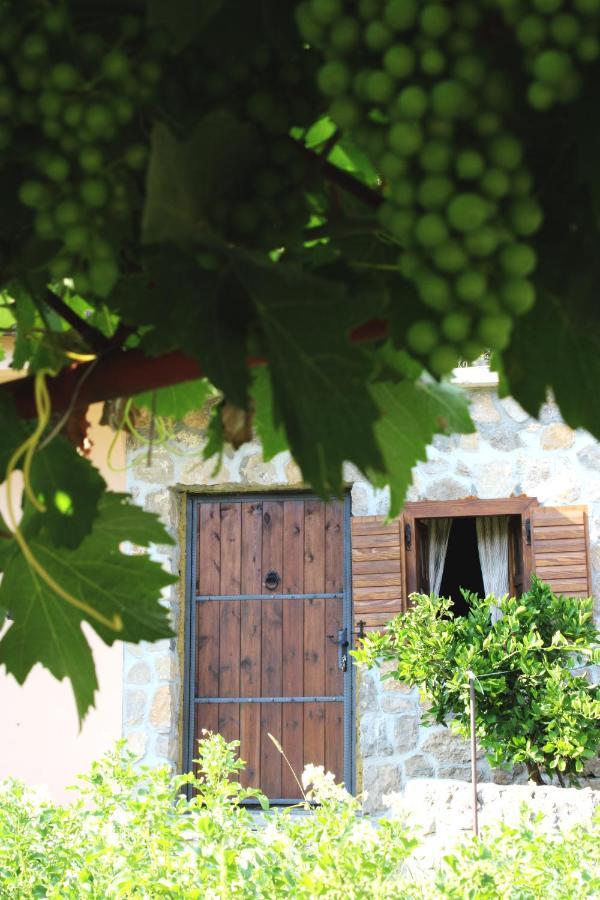 Holiday Home Gazevic Virpazar Bagian luar foto
