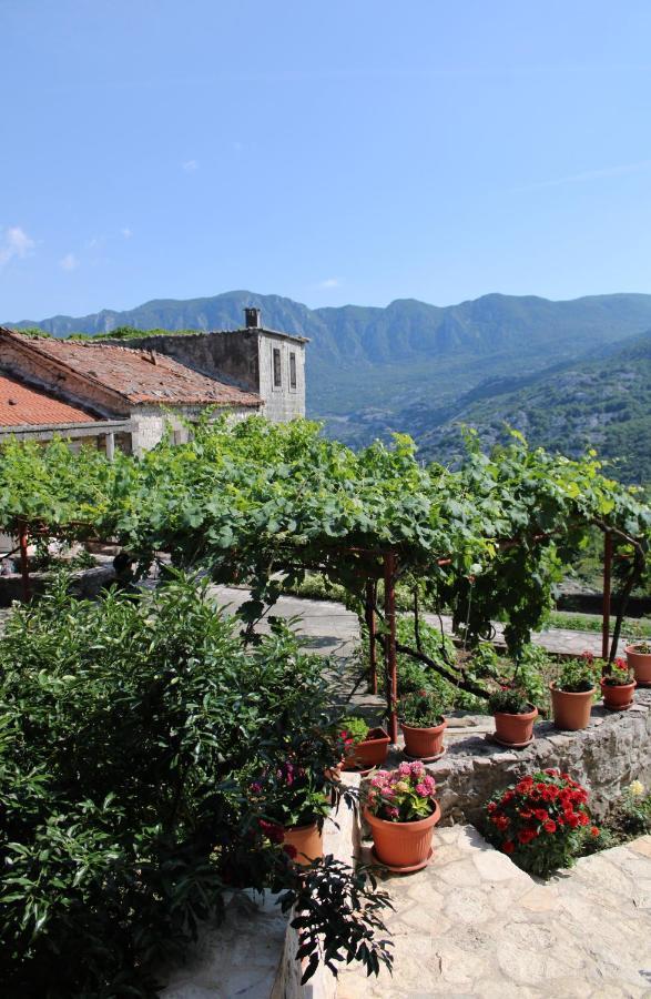 Holiday Home Gazevic Virpazar Bagian luar foto
